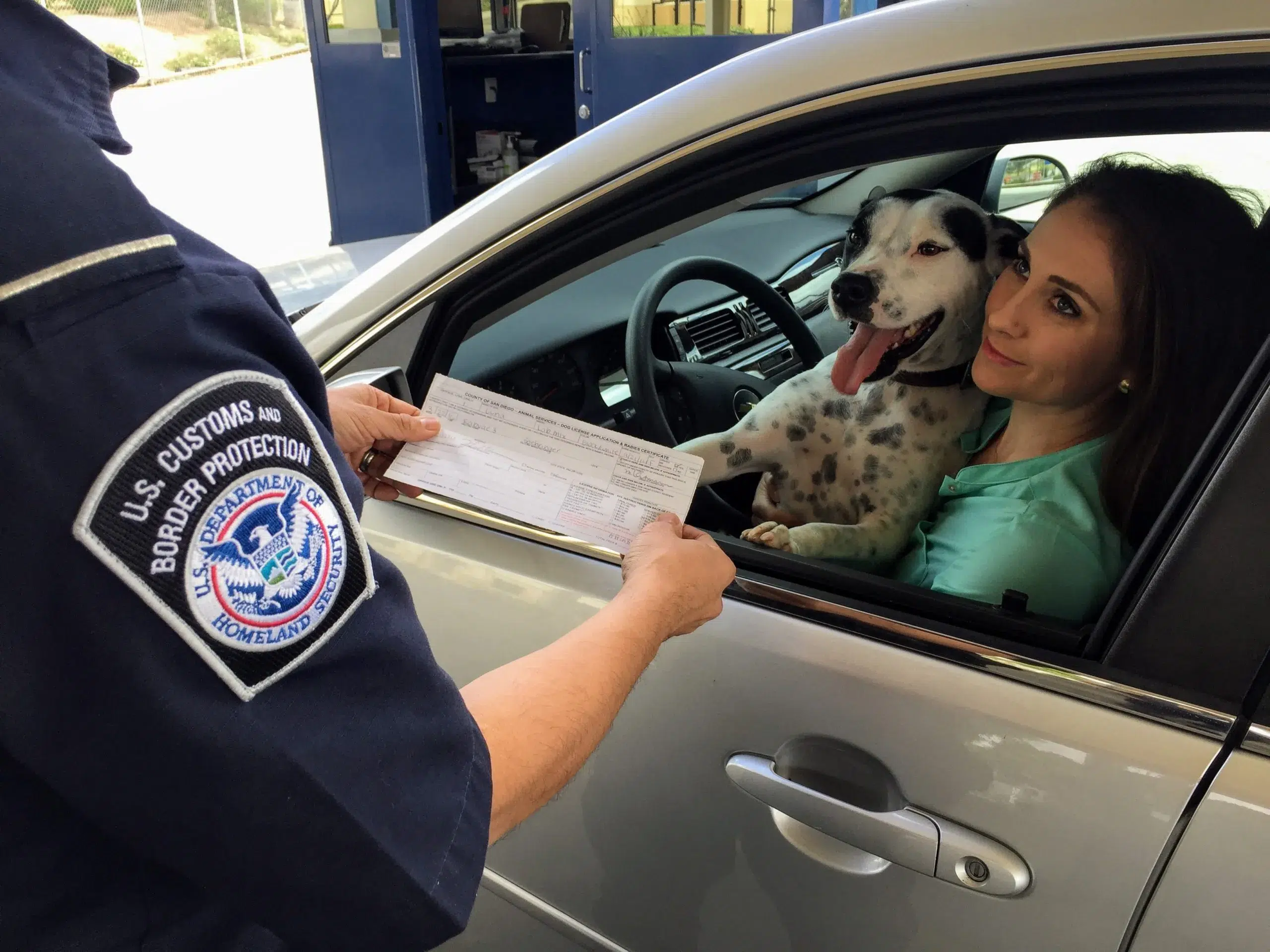 DMV Texas License Renewals During COVID